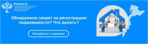 Обнаружили запрет на регистрацию недвижимости? Что делать?