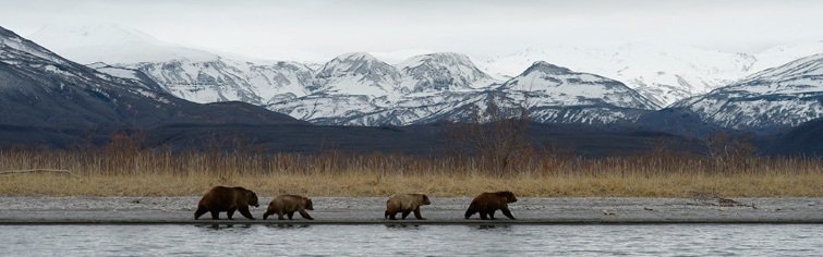 Баннер 3